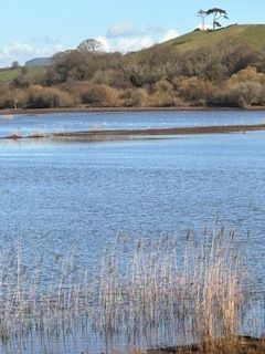 Otter Estuary Nature Reserve